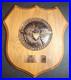 1978-US-Navy-Plaque-U-S-Naval-Air-Station-Lemoore-California-withC-O-Name-Plate-01-vkkw