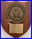 1985-Us-Navy-Naval-Sea-Combat-Systems-Engineering-Station-Brass-Wood-Plaque-01-fzv