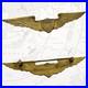Bb-b-Wwi-Aviator-Wings-Flight-Instructor-Civilian-Pilot-Navy-Air-Corps-Bronze-01-yvco