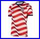 Nike-USMNT-2026-Stadium-Home-Replica-Jersey-Sail-IB5339-133-US-Size-S-XL-01-wk