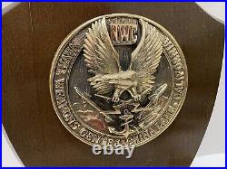 U. S. Naval Weapons Station China Lake Ca, 3-d Metal Emblem, Wall Plaque Sign
