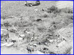 U. S. Navy CH-46 Sea Knight EA-86 Vietnam Village Vintage 8x10 Archive Photo
