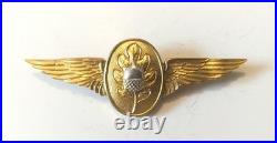 U. S. Navy Prototype Flight Surgeon Wing