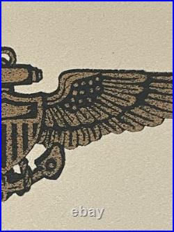 U. S. Navy USMC Wings Of Gold Sand Art Framed Signed By R Deno Artist