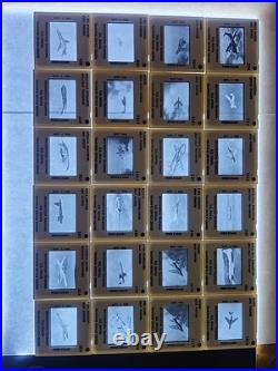 US Naval Training Device Center Recognition Training Glass Slides Lot Of 94