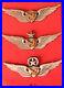 Us-Army-Astronaut-Wings-Badges-Set-Of-3-01-hoi